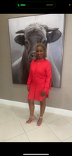 Load image into Gallery viewer, RED GET THE HINT DRESS

